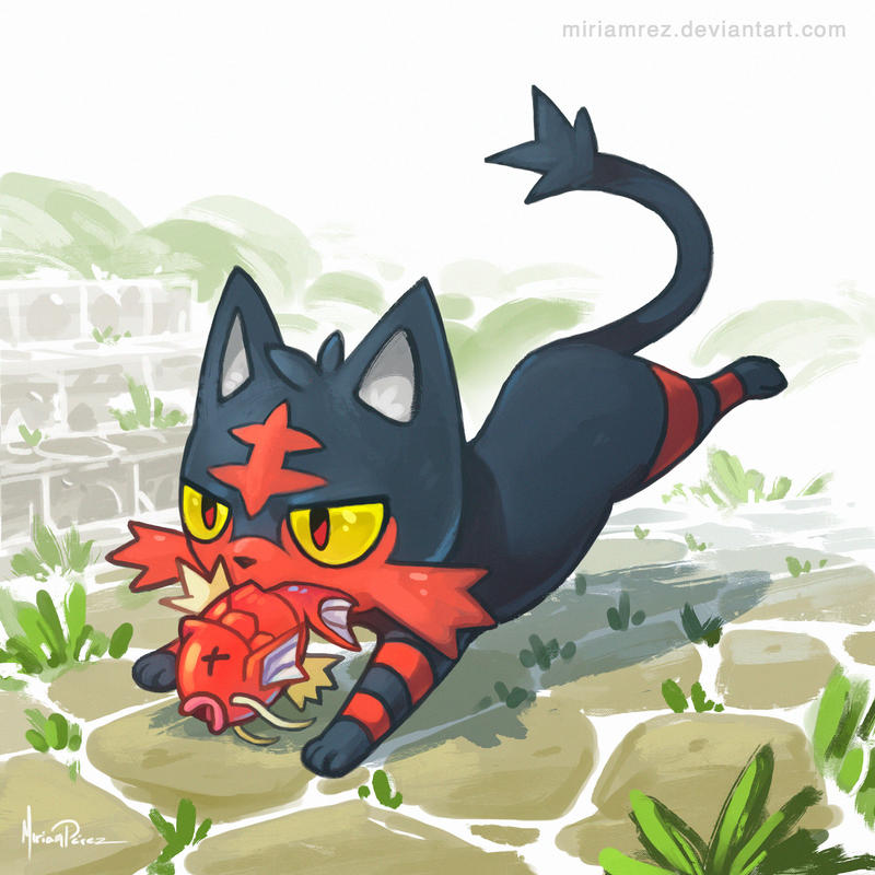 litten_by_miriamrez-da28mjr.jpg