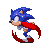 sonic0005.gif
