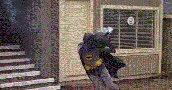 539948_v1.gif