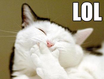 Cat_CatLaughingCoveringMouth_xlarge.jpeg