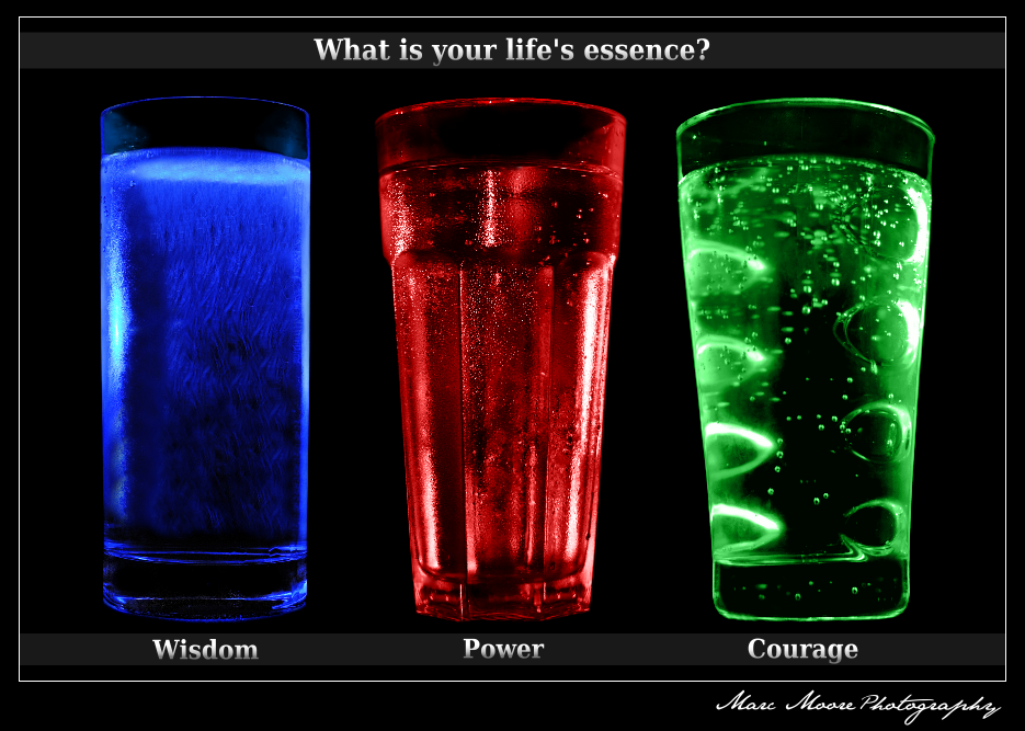 Life__s_Essence_by_MTC001.png