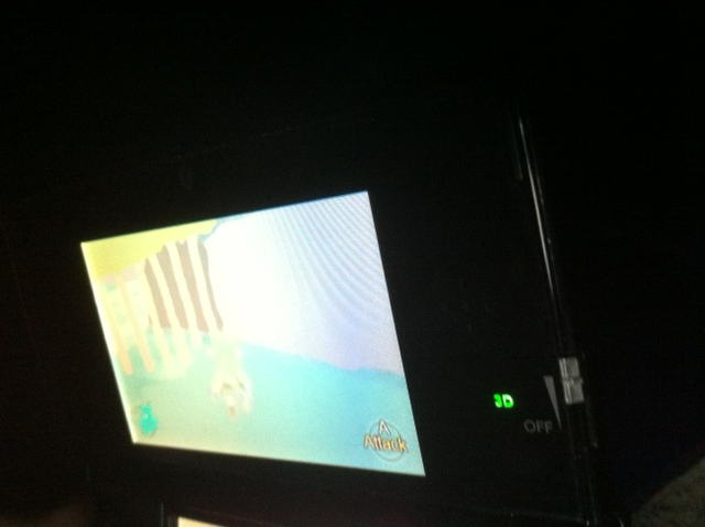 fakeZelda3DSscreenshot2.jpg