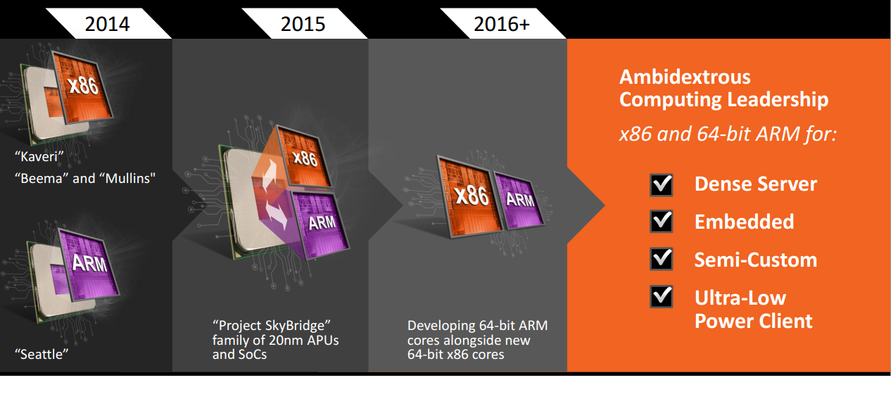 amd-skybridge-roadmap-2-100266192-orig.png