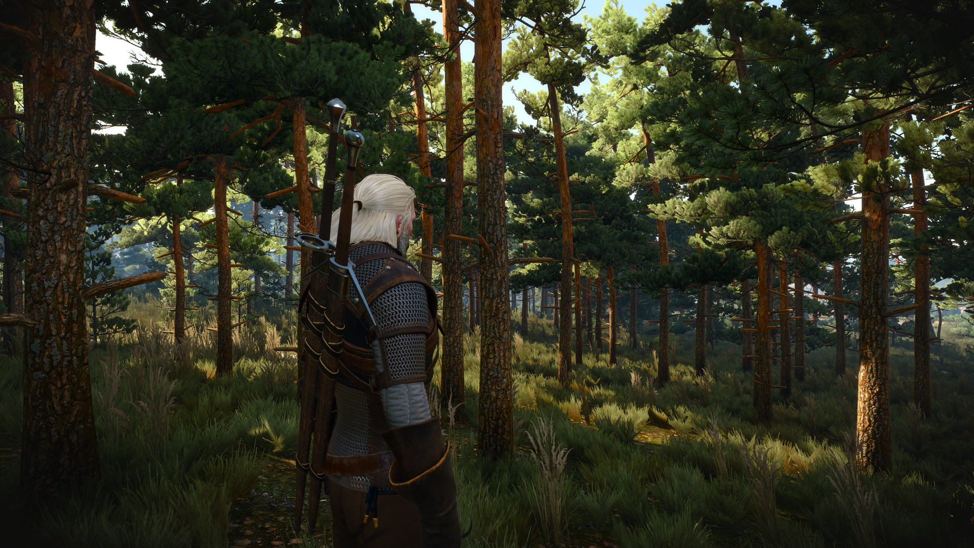 witcher3_2015_05_24_1q5x1i.png