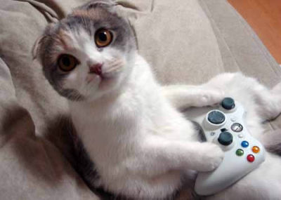 gamerkitty.jpg