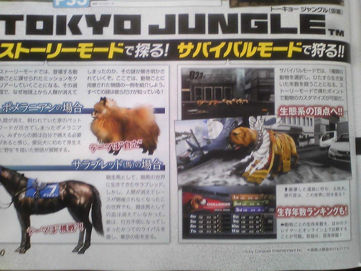 tokyo-jungle-announcedb0d2.jpg