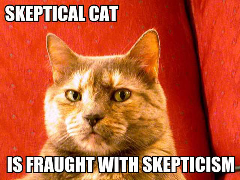 skeptical-cat-is-fraught-with-skepticism.jpeg